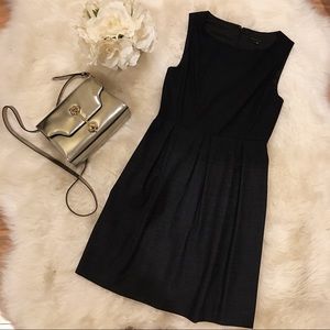 Theory Pleat Style Dress.